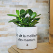 Charger l'image dans la galerie, Pot de fleurs personnalisé la meilleure des mamans