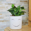 Charger l'image dans la galerie, pot de fleurs personnalisé smile