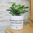 Charger l'image dans la galerie, Pot de fleurs personnalisé Bienvenue chez toi mon humain
