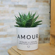 Charger l'image dans la galerie, pot de fleurs personnalisé amour