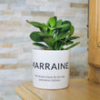 Charger l'image dans la galerie, sanoa pots - marraine