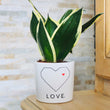 Charger l'image dans la galerie, pot de fleurs personnalisé love