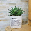 Charger l'image dans la galerie, pot de fleurs personnalisé amour