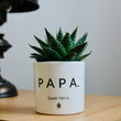 Charger l'image dans la galerie, pot de fleurs papa