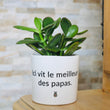 Charger l'image dans la galerie, idée cadeau papa