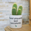 Charger l'image dans la galerie, Pot de fleurs personnalisé Aussi piquante que succulente