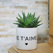 Charger l'image dans la galerie, sanoa pots - je t'aime