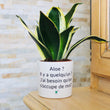Charger l'image dans la galerie, Pot de fleurs - Aloe ? Il y a quelqu'un ?