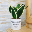 Charger l'image dans la galerie, plante pour une enfant