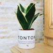 Charger l'image dans la galerie, sanoa pots - Tonton