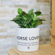Charger l'image dans la galerie, pot de fleurs personnalisé fan de cheval