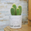 Charger l'image dans la galerie, Pot de fleurs personnalisé Cat Lover