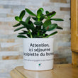 Charger l'image dans la galerie, sanoa pots - Attention, ici séjourne la piplette du bureau