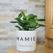 Charger l'image dans la galerie, sanoa pots - Mamie
