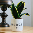 Charger l'image dans la galerie, pot de fleurs merci