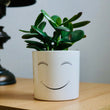 Charger l'image dans la galerie, pot de fleurs smil