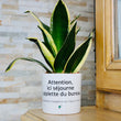 Charger l'image dans la galerie, sanoa pots - Attention, ici séjourne la piplette du bureau