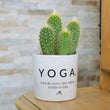 Charger l'image dans la galerie, cadeau original fan de yoga