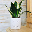 Charger l'image dans la galerie, sanoa pots - smile sourir