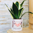 Charger l'image dans la galerie, sanoa pots - amoureux mariage