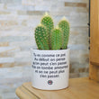 Charger l'image dans la galerie, sanoa pots - Tu es comme ce pot, au début on pense qu'on peut s'en passer , puis on tombe amoureux et on ne peut plus s'en passer