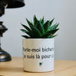 Charger l'image dans la galerie, pot de fleurs Parle moi bichette