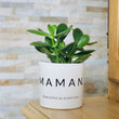 Charger l'image dans la galerie, sanoa pots - Maman