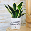 Charger l'image dans la galerie, pot de fleurs original