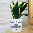 Charger l'image dans la galerie, pot de fleurs personnalisé aussi piquante que cucculente