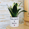 Charger l'image dans la galerie, pot de fleurs zen