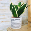 Charger l'image dans la galerie, Pot de fleurs personnalisé avec une définition
