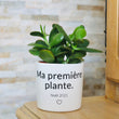 Charger l'image dans la galerie, pot de fleurs personnalisé sa première plante