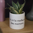 Charger l'image dans la galerie, pot de fleurs personnalisé ici vit la meilleur des mamans