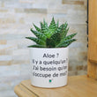 Charger l'image dans la galerie, Pot de fleurs personnalisé Aloe ? Il y a quelqu'un ?
