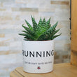 Charger l'image dans la galerie, pot de fleurs personnalisé running