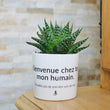 Charger l'image dans la galerie, Pot de fleurs personnalisé Bienvenue chez toi mon humain