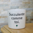 Charger l'image dans la galerie, sanoa pots - succulente comme toi