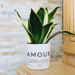 Charger l'image dans la galerie, Pot de fleurs personnalisé "Amour"