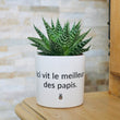 Charger l'image dans la galerie, pot de fleurs le meilleur des papis