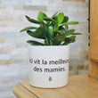 Charger l'image dans la galerie, pot de fleurs personnalisé ici vit la meilleur des mamies