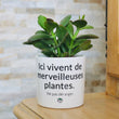 Charger l'image dans la galerie, pot de fleurs personnalisé ici vivent de merveilleuses plantes