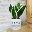 Charger l'image dans la galerie, sanoa pots - tata