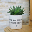 Charger l'image dans la galerie, pot de fleurs personnalisé parle moi bichette