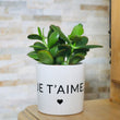 Charger l'image dans la galerie, sanoa pots - je t'aime