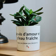 Charger l'image dans la galerie, Pot de fleurs Vivre d'Amour et d'Eau Fraiche