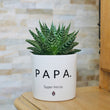 Charger l'image dans la galerie, pot de fleurs personnalisé papa