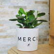 Charger l'image dans la galerie, pot de fleurs personnalisé merci