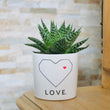 Charger l'image dans la galerie, cadeau original amoureux