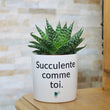 Charger l'image dans la galerie, pot de fleurs personnalisé succulente comme toi