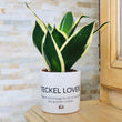 Charger l'image dans la galerie, sanoa pots - Teckel lover